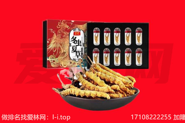 迪庆州维西回收虫草.jpg